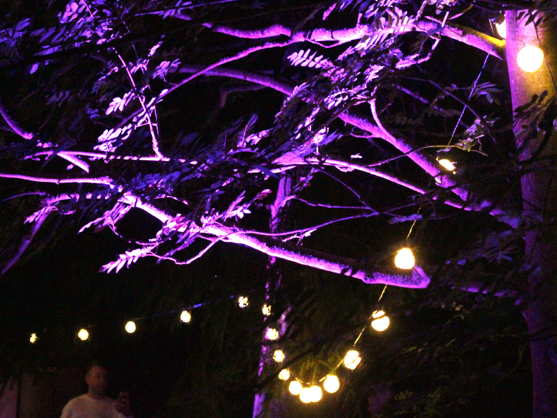 Festoon lighting with uplighting at Hertfordshire wedding