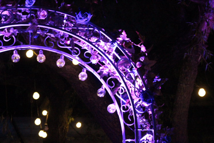 Flower arch uplit outside at night